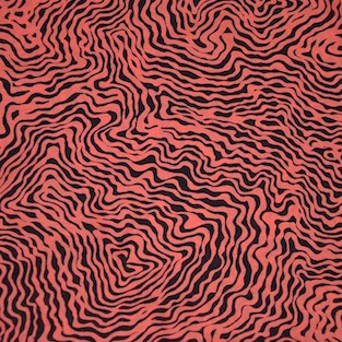 Silk CDC Printed Scarves